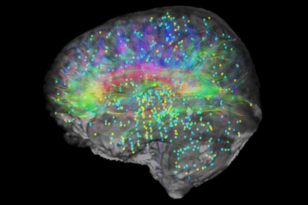 Professor’s radical theory claims consciousness doesn’t come from the brain and may continue after death |