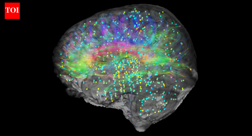 Professor’s radical theory claims consciousness doesn’t come from the brain and may continue after death |