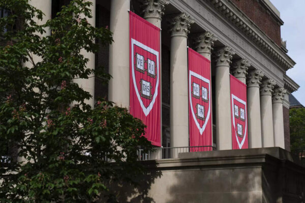 Federal cuts force Harvard to suspend key foreign language and area study programmes: Here’s what to know