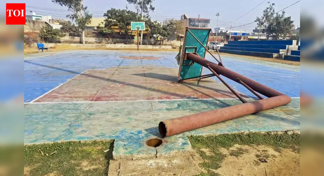 Haryana sports dept gives itself clean chit in deaths of teen basketballers