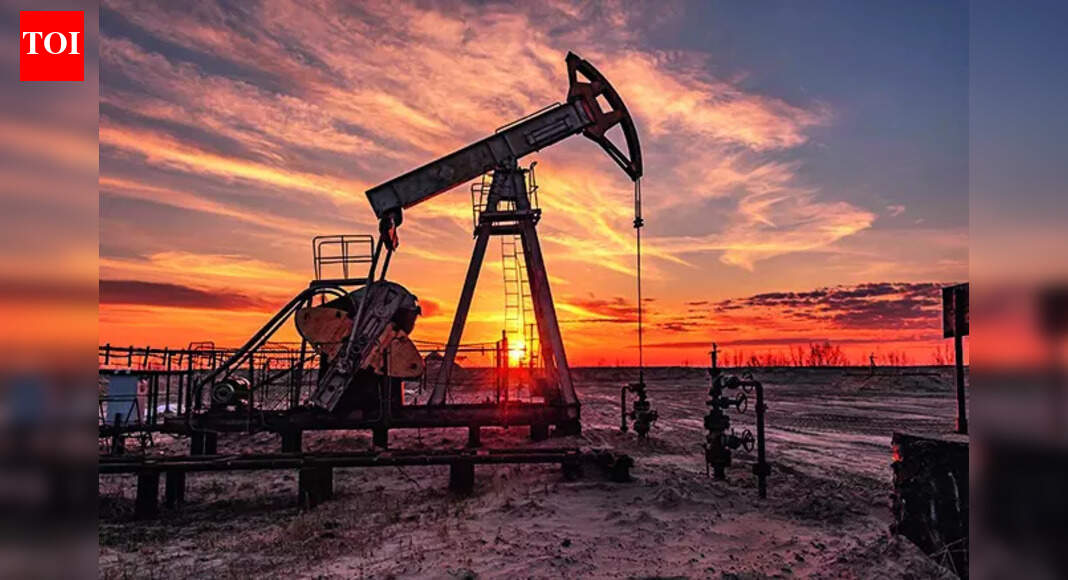 Ahead of President Putin’s visit, Russia assured India that any sanctions on its oil trade would cause only minor, temporary disruptions. Kremlin spokesperson Dmitry Peskov emphasized that both nations are committed to maintaining trade volumes and making bilateral ties immune to third-country pressure. Russia aims for 0 billion trade with India by 2030, addressing New Delhi’s trade deficit concerns.  NEW DELHI: Ahead of Russian President Vladimir Putin’s visit for the India-Russia annual summit, Moscow has backed oil trade with India saying sanctions against Russian companies will cause only an insignificant dip in India’s imports from Russia.Briefing the media, Kremlin spokesperson Dmitry Peskov said both sides were working to find ways to not allow volume of trade to fall, adding Russia has deep experience of performing under a regime of illegal sanctions through technologies at its disposal.“There can be, for a very brief time, insignificant drops in volume of oil trade, but we consider those sanctions to be illegal from the point of view of international law,” said Peskov, who also stressed the need for India and Russia to make bilateral trade immune to pressure from third countries.The Modi-Putin summit will take place against the backdrop of pressure applied by the US and EU on India to review its energy ties with Russia. The US has slapped an additional 25% tariff on India for purchasing oil from Russia.“We do not accept these limitations, and we are doing our best to ensure that we continue our trade and that our purchasers enjoy guaranteed supplies of oil and oil products. We are managing that quite successfully,” he added.Peskov said the bilateral relationship rests on historical background of mutual understanding. “And mutual vision of global affairs & a system of global affairs based on international law, rule of law and ability to take into account each other’s interests,” he added.While Russia is looking at 0 billion trade with India by 2030, he said, Moscow is fully aware of New Delhi’s concerns about the massive trade deficit and is working with it to fix “the problem”.Peskov said the tie must be free of any influence from third countries that are trying to create obstacles for India-Russia trade partnership.End of ArticleFollow Us On Social MediaVideosNavy Chief Confirms India’S Third Nuclear-Powered Ballistic Missile Submarine Soon“Both ‘Rs Must Remember Responsibility”: Bjp Slams Rahul, Renuka Over ‘Dog’ RemarksNo More Disruptions: Lok Sabha to Debate Electoral Reforms Next Week’Imran Khan’s Health Stable, But Facing Mental Torture’, Claims Sister After Jail VisitChina’s Condom Tax Shocks the World Amid Birthrate Drop as India Surges Ahead in Population RankingsPakistan Sparks Controversy With Expired Relief Claims As India Rejects Airspace Allegation StronglyCentre Signals Willingness to Discuss SIR, Asks Opposition Not to Set TimelinePakistan’s Adiala Jail To Open Gate To Imran Khan’s Sister After PTI Fury Forces Sharif, MunirRussia Confirms Su-57 Fighter Jets, S-400 Deal On Agenda Ahead of Vladimir Putin’s India VisitCapt Shubhanshu Shares What India Can Learn from ISS Successes123PhotostoriesJennifer Lawrence’s fitness philosophy: 4 lessons to take from her realistic routine8 animals whose names start with the letter “S”Guava health benefits: 7 reasons why your daily plate needs this humble fruitExclusive – Bigg Boss 19’s Ashnoor Kaur addresses allegations of hitting Tanya Mittal during the task; bond with Abhishek Bajaj; says ‘There’s a platonic love between us’5 timeless quotes by Rumi that echo the true essenceof loveNature’s smartest travellers: 5 animals with homes on their backsFrom Cinnamon Tea to Methi Shots: 8 foods and drinks with proven heart benefitsShah Rukh Khan, Amitabh Bachchan, Rajinikanth: Actors who played both hero and villain in the same film9 lesser-known Biryanis from different parts of IndiaVictoria and David Beckham: Parenting secrets from one of the strongest celebrity couples123Hot PicksParliament Winter SessionCyclone DitwahWorld NewsGold rate todaySilver rate todayPublic Holidays NovemberBank Holidays NovemberTop TrendingNina Lin ControversyPaige BueckersShedeur SandersDrake MayeOdell Beckham JrStephen CurryJaxson DartGiannis AntetokounmpoCharlie Kirk ControversyYordan Alvarez Wife