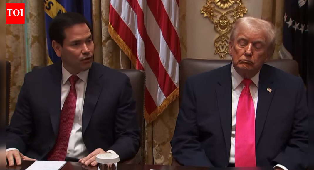 Donald’s sleepy Joe moment? Gavin Newsom shares video of Trump ‘sleeping’ in his cabinet meeting – watch