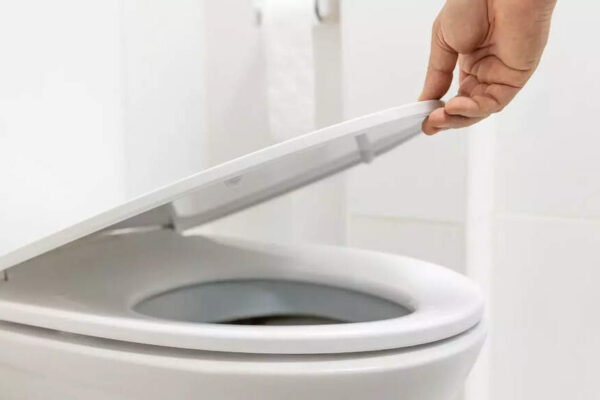Should you keep the toilet seat lid up or down: What science says about hygiene, germs and flushing habits in shared bathrooms |