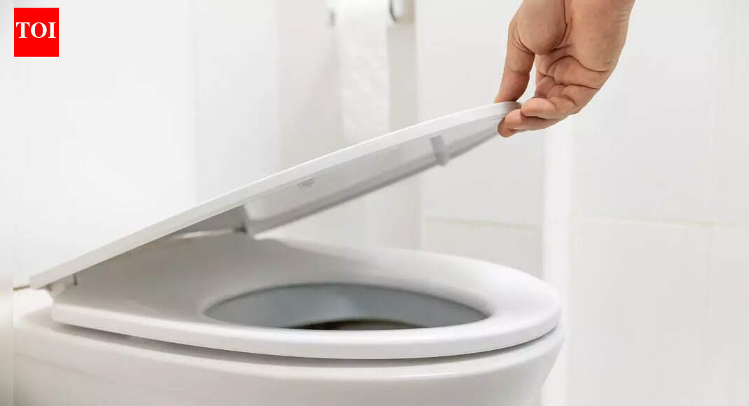 Should you keep the toilet seat lid up or down: What science says about hygiene, germs and flushing habits in shared bathrooms |