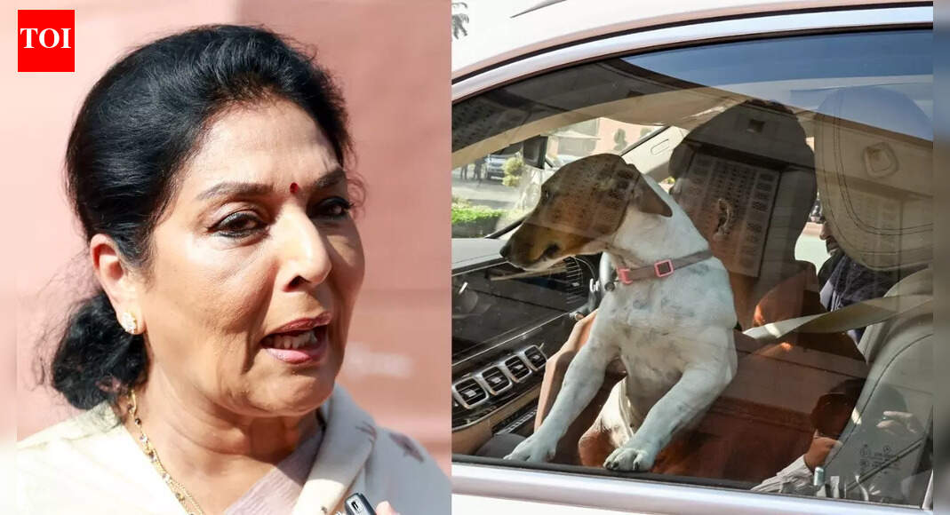 Congress MP Renuka Chowdhury responded to a potential privilege motion for bringing a dog to Parliament with a bark, questioning the outrage over the animal while other pressing issues are ignored. She asserted there’s no rule against bringing pets and vowed to continue caring for animals, suggesting the “real dogs” are in Parliament. Renuka Chowdhury and the dog NEW DELHI: Facing a possible privilege motion for bringing a dog to Parliament, Congress MP Renuka Chowdhury responded to reporters’ questions in an unusual manner — by imitating a dog’s bark.“Bhow, bhow…aur kya bolun? (What else should I say),” Chowdhury said on Wednesday, two days after she brought a stray puppy with her to Parliament.‘Is There Any Law?’ Renuka Chaudhary Sparks Row After Bringing Stray Dog to ParliamentPressed further, she added, “We will see when it (the privilege motion) is brought. I will give a ‘munhtod’ (befitting) reply.”The former Union minister also argued that there are far more pressing issues to discuss, yet everyone seems “rattled” by the dog.Also Read | ‘Pets not allowed outside, but inside’: Rahul Gandhi reacts to Renuka Chaudhary bringing dog in Parliament“People are dying because of pollution and no one is worried. BLOs are committing suicide, their families are being destroyed, and no one cares. Labour laws are being forced upon us, the Sanchar Saathi app is being pushed on us — but Renuka Chowdhury’s dog has rattled everyone. What can I say? I will continue to take care of animals,” she remarked.Chowdhury reiterated that there is no rule preventing an MP from bringing a dog — or any animal — into Parliament.The former Union minister had brought the puppy to Parliament on the opening day of the winter session. She claimed to have spotted it near the site of a road collision she witnessed en route that morning and “fearing” for its safety.In what appeared to be a jab at the government and the ruling BJP, she added that the “real dogs are sitting in Parliament.”About the AuthorTOI News DeskThe TOI News Desk comprises a dedicated and tireless team of journalists who operate around the clock to deliver the most current and comprehensive news and updates to the readers of The Times of India worldwide. With an unwavering commitment to excellence in journalism, our team is at the forefront of gathering, verifying, and presenting breaking news, in-depth analysis, and insightful reports on a wide range of topics. The TOI News Desk is your trusted source for staying informed and connected to the ever-evolving global landscape, ensuring that our readers are equipped with the latest developments that matter most.”Read MoreEnd of ArticleFollow Us On Social MediaVideosRELOS Gives India Seamless Access To Russian Bases As Moscow Boosts Military Ties Before Putin VisitPutin Plans Big India Reset With More Indian Goods, Deep Strategic Defence Ties In Talks With ModiRajnath Singh Claims Nehru Wanted Babri Built With Public Funds But Sardar Patel Blocked His Plan’Terrorists Are Fasaadi, We Are Jihadi’: Maulana Madani Stands Firm On ‘Jihad’ RemarksIsraeli Firm IWI Backs ‘Make-In-India’, In Talks To Bring ARBEL Rifle System To IndiaNavy Chief Confirms India’S Third Nuclear-Powered Ballistic Missile Submarine Soon“Both ‘Rs Must Remember Responsibility”: Bjp Slams Rahul, Renuka Over ‘Dog’ RemarksNo More Disruptions: Lok Sabha to Debate Electoral Reforms Next Week’Imran Khan’s Health Stable, But Facing Mental Torture’, Claims Sister After Jail VisitChina’s Condom Tax Shocks the World Amid Birthrate Drop as India Surges Ahead in Population Rankings123PhotostoriesWhen Aruna Irani survived, breast cancer twice, kidney failure, diabetes and more: Lesser known facts of the veteran you may not know7 reasons women need dates in their daily diet9 fruits with the highest amount of calciumFrom ‘The Price of Confession’ to ‘Cashero’: Top K-dramas to watch this December on OTTThis country is home to 4000 varieties of potatoes, and no, it is not India!Lord Buddha Lessons According To Your Birth Date51 and stunning: Kajol’s black saree look has the internet swooning6 behaviours that tell the universe you’re ready for something biggerWHO issues guidelines on GLP-1 therapies for obesity treatment: Understanding the impact, safety considerations, and who can benefitHarvard doctor shares 10 best foods that help relieve constipation instantly123Hot PicksParliament Winter SessionCyclone DitwahWorld NewsGold rate todaySilver rate todayPublic Holidays NovemberBank Holidays NovemberTop TrendingNBA Trade RumorsAPTET Admit CardShedeur SandersRGPV Diploma Result 2025Odell Beckham JrStephen CurryJaxson DartGiannis AntetokounmpoCharlie Kirk ControversyYordan Alvarez Wife