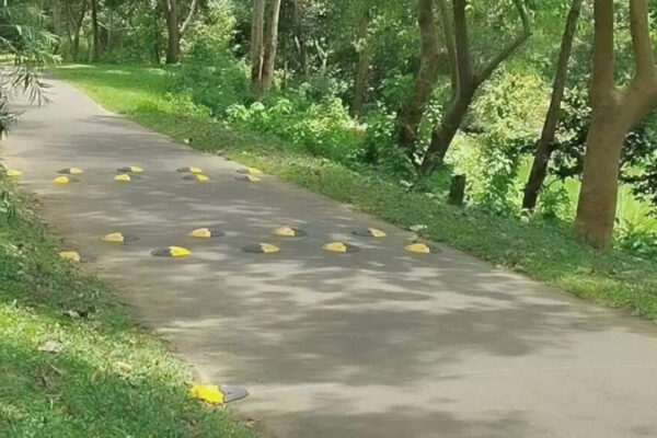 Researchers develop spherical cap studs as a comfortable alternative to traditional speed bumps