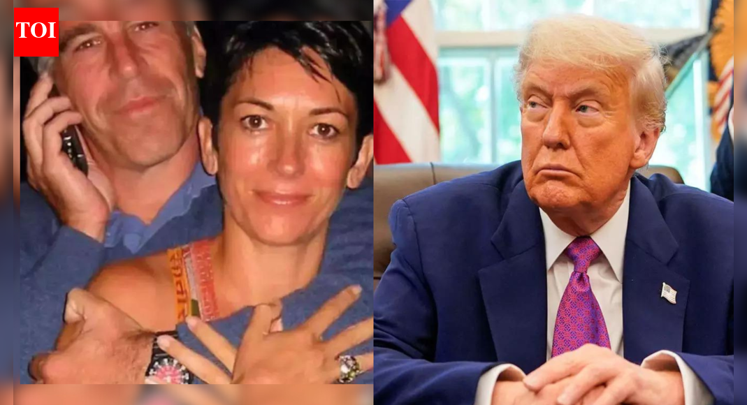 Jeffrey Epstein knew about Trump’s ‘childlike’ pardon plans: ‘He loves showing the power that he has,’ says author