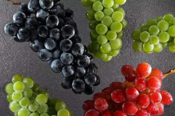 Green vs black vs red grapes: Which variety offers the most nutritional benefits |