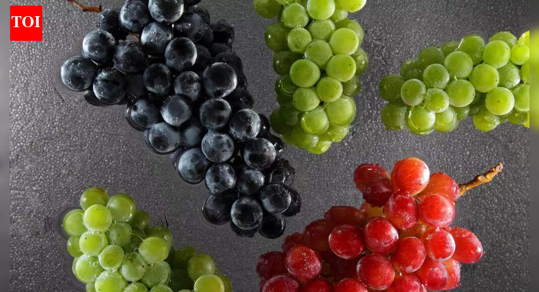 Green vs black vs red grapes: Which variety offers the most nutritional benefits |