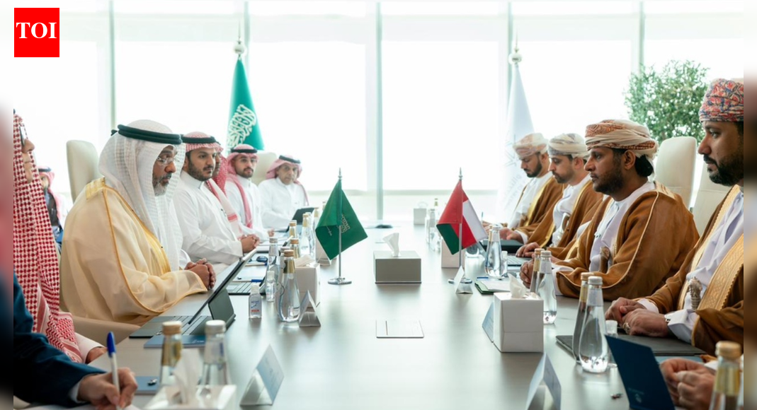 Oman and Saudi Arabia approve mutual certificates of origin to ease trade | World News