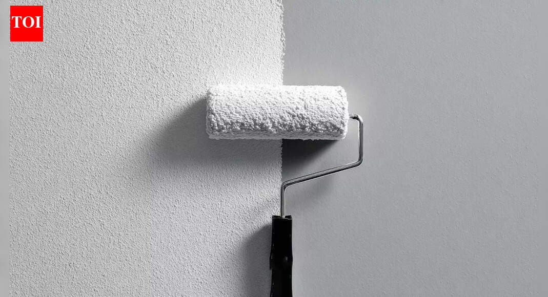 How winter light makes wall paint appear darker and expert tips to choose the right tone |