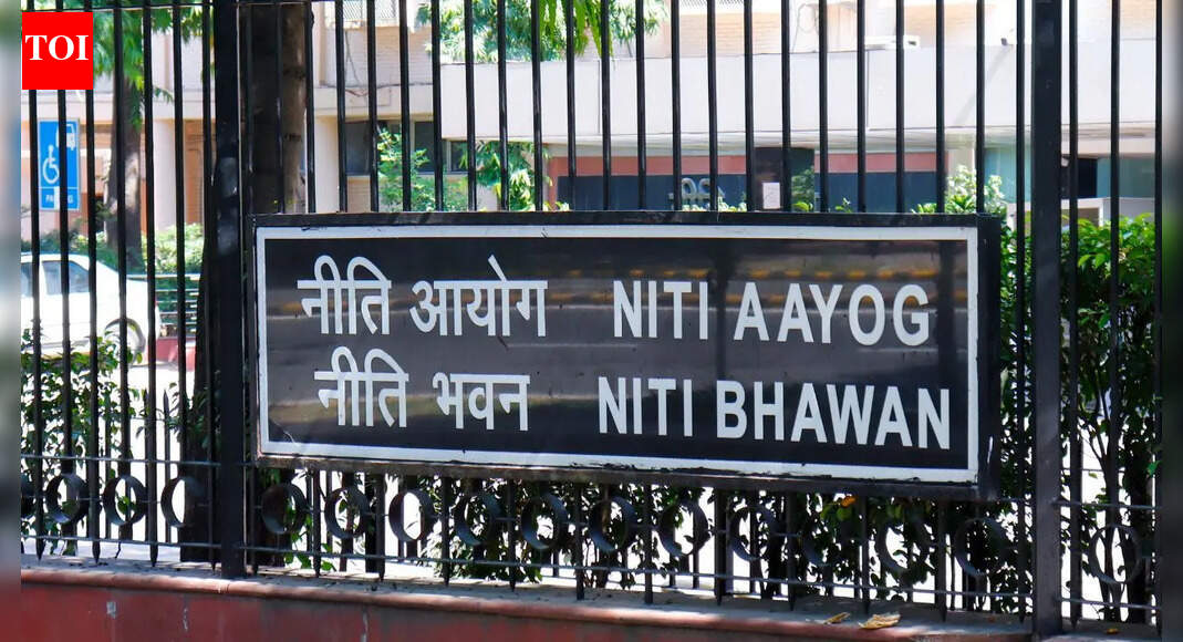 Niti panel backs licences, permits for perpetuity