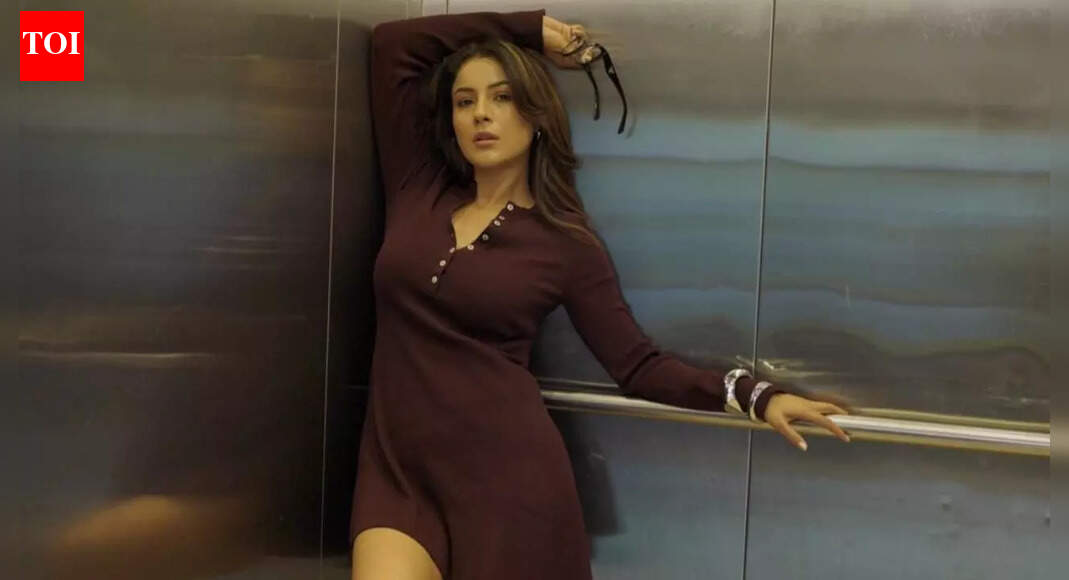 Shehnaaz Gill says she’s been used as a ‘prop’ in films, reveals why she invested her own money, ‘Why are we just running behind Bollywood?’ | Hindi Movie News