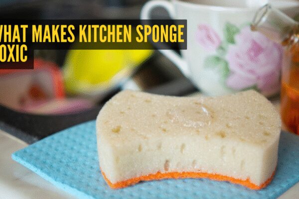 Scientist explains why kitchen sponge is the most toxic item in the kitchen and what should be used instead