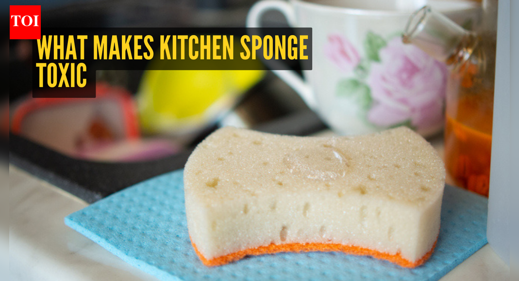 Scientist explains why kitchen sponge is the most toxic item in the kitchen and what should be used instead