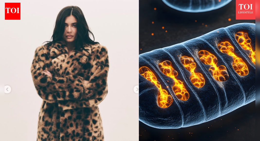 Kylie Jenner’s stem cell therapy: Actor shares how it helped her chronic back pain after pregnancy