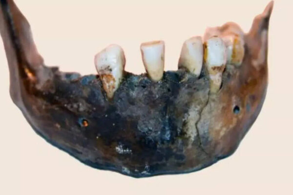 Human evolution mystery unlocked: How 100,000 years of isolation in southern Africa revealed hidden secrets of ancient DNA and our evolutionary history