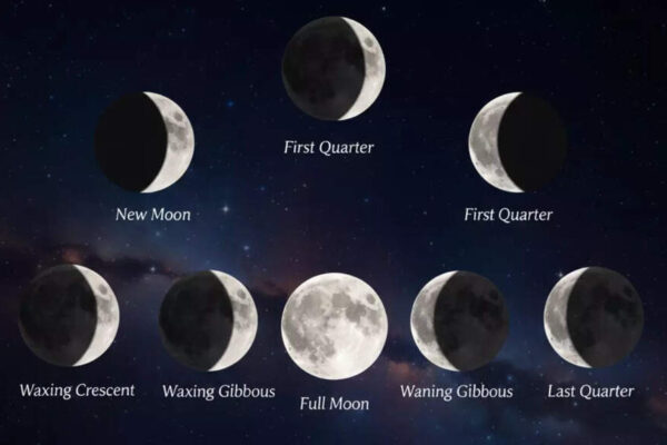 Your Moon phase according to your date of birth