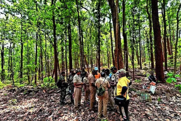 After 10-yr chase, wildlife sleuths nab the ‘ghost’ | India News
