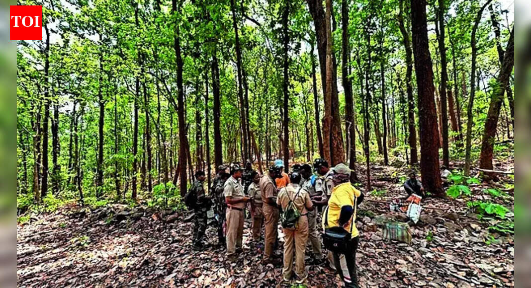 After 10-yr chase, wildlife sleuths nab the ‘ghost’ | India News