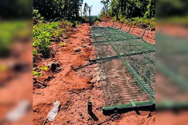 IMPHAL: Over 150 metres of fence in newly constructed section along Myanmar border in Manipur’s Chandel district was cut in the second instance of such a security breach in the state in four months. Officials said they had zeroed in on the suspects but declined to reveal their identities, citing ongoing investigations. The “sabotage” was detected during an inspection on Wednesday. Around 64 hollow circular poles and fencing panels, along with some other accessories, were ripped and yanked off, the officials said.The damage has raised serious questions about vigilance and effectiveness of forces patrolling the border. The previous such breach was detected in Aug this year. The Centre has undertaken extensive efforts to secure the Myanmar frontier, with Border Roads Organisation (BRO) carrying out fencing across vulnerable stretches.An FIR was filed over the latest breach. Security has been tightened in the area.End of ArticleFollow Us On Social MediaVideos”Next Year in Russia…” Deputy PM Manturov Urges Indian Companies to Expand Bilateral Trade”Ordinary Indians Pay Price” Rahul Gandhi Calls Indigo Chaos The ‘Cost Of Monopoly Model’India, Russia Renew Call for Inclusive UN Security Council Structure: MEAPutin Says Russia Didn’t Come Only for Energy, Seeks Bold Multifaceted Partnership with IndiaCentre Orders High-Level Probe As IndiGo Flight Operations Set To Normalise In 3 DaysImran Khan Tagged ‘Security Threat’ As Pakistan Army Launches Fiercest Public Attack In Years‘Not Here Only For Energy’: Putin Seeks Broader India-Russia PartnershipPM Modi Urges Putin To Build New Economic Axis As India Becomes Emerging Skilled Capital Of WorldSpiceJet Chairman Ajay Singh Calls IndiGo Crisis ‘Unfortunate’, Offers 100 Extra FlightsPakistan Supports China’s Arunachal Lie As Putin Meets Modi Amid Major India Russia Cooperation123PhotostoriesRajesh Khanna-Dimple Kapadia, Saif Ali Khan-Kareena Kapoor Khan; Bollywood marriages spanning age gapsLifestyle expert shares five ‘safe’ ways to drink alcohol if at all one should8 common mistakes people make while making rotis and easy fixes9 fiber-rich dishes made with flattened rice (poha) for breakfastBigg Boss 19: Shehbaz Badesha calls Tanya Mittal fake and irritating; breaks silence on father being trolled for ‘overly friendly’ behaviour with female contestantsAdrian Chiles’ skin cancer diagnosis: How he spotted the symptoms that made all the differenceHow Bhagavad Gita can heal unknown childhood trauma and unlock blockages for success in lifeNutrition fact of the day: Greek yogurt has twice the protein of regular yogurt5 clever animals that deceive predators by playing dead10 protein- and fiber-rich broccoli and egg dishes under 20 minutes for bachelors123Hot PicksIndigo Flight DelayPutin India VisitWorld NewsGold rate todaySilver rate todayPublic Holidays NovemberBank Holidays NovemberTop TrendingLos Angeles Lakers vs Boston CelticsNBA trade RumorsOmarion HamptonCandace OwensAryna SabalenkaTrey BensonTravis KelceGeorge PickensStefon DiggsTaylor Swift