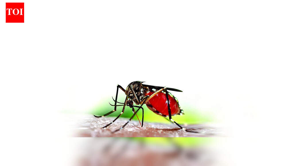 India shoulders a significant malaria burden in Southeast Asia, despite regional progress. While cases have dropped dramatically, millions remain at risk, particularly in remote areas. Aggressive interventions have driven down incidence, but challenges like drug resistance and outbreaks in forest regions persist. India’s progress marks a major shift towards elimination. Representative image NEW DELHI: India remains the centre of malaria transmission in the WHO South-East Asia Region, accounting for 73.3% of all estimated cases and nearly 89% of malaria deaths in 2024, even as the region records one of the world’s steepest declines in malaria, World Malaria Report 2025 showed.The region logged 4.79 lakh cases in 2024 — a 65.7% fall since 2015 — and just 99 reported deaths, but WHO estimates indicated a far larger burden of 2.7 million cases and 3,900 deaths, with India driving most infections and fatalities.Despite this dominance, India remains on track to meet the 2025 Global Technical Strategy goal of a 75% drop in incidence, having crossed a 70% reduction by 2024. Most districts continue to report sustained declines, tho-ugh localised outbreaks in forest belts and cross-border spillover from Nepal persist as major challenges.Children under 5 accounted for 8.7% of cases and 18% of deaths, while P.vivax, notoriously difficult to eliminate, caused nearly two-thirds of infections. The report credits the gains to aggressive interventions — large insecticide-treated net drives in India, Myanmar and Nepal; 143% growth in rapid testing since 2015; and 100% treatment coverage. Low-level pfhrp2/3 gene deletions were detected in India, but treatment failure for key ACTs remained below 5%, indicating continued drug efficacy.A key milestone highlighted was India’s exit from High Burden to High Impact group in 2024, marking its shift from a global high-burden nation to one nearing elimination in several states — a transformation few countries have achieved at this scale. Bhutan, Sri Lanka and Timor-Leste are malaria-free. WHO warns drug resistance, climate-related outbreaks and declining international funding threaten global progress.Dr Sunil Rana of Asian Hospital said malaria persists in India because timely healthcare fails to reach tribal and forest communities. “Longer mosquito-breeding seasons, delayed care-seeking, weak surveillance and unchecked migration through border zones keep outbreaks alive,” he said.About the AuthorAnuja JaiswalAnuja Jaiswal is a Senior Assistant Editor at The Times of India, with an impressive 18-year career in narrative journalism. She specializes in health and heritage reporting, expertly simplifying complex health information to make it engaging and understandable for readers. Her deep dives into heritage topics are well-researched, resulting in captivating narratives that resonate with her audience. Over the years, she has worked in Chandigarh, Chhattisgarh and West UP, gaining diverse on-ground experience that shapes her storytelling.Read MoreEnd of ArticleFollow Us On Social MediaVideos”Next Year in Russia…” Deputy PM Manturov Urges Indian Companies to Expand Bilateral Trade”Ordinary Indians Pay Price” Rahul Gandhi Calls Indigo Chaos The ‘Cost Of Monopoly Model’India, Russia Renew Call for Inclusive UN Security Council Structure: MEAPutin Says Russia Didn’t Come Only for Energy, Seeks Bold Multifaceted Partnership with IndiaCentre Orders High-Level Probe As IndiGo Flight Operations Set To Normalise In 3 DaysImran Khan Tagged ‘Security Threat’ As Pakistan Army Launches Fiercest Public Attack In Years‘Not Here Only For Energy’: Putin Seeks Broader India-Russia PartnershipPM Modi Urges Putin To Build New Economic Axis As India Becomes Emerging Skilled Capital Of WorldSpiceJet Chairman Ajay Singh Calls IndiGo Crisis ‘Unfortunate’, Offers 100 Extra FlightsPakistan Supports China’s Arunachal Lie As Putin Meets Modi Amid Major India Russia Cooperation123PhotostoriesRajesh Khanna-Dimple Kapadia, Saif Ali Khan-Kareena Kapoor Khan; Bollywood marriages spanning age gapsLifestyle expert shares five ‘safe’ ways to drink alcohol if at all one should8 common mistakes people make while making rotis and easy fixes9 fiber-rich dishes made with flattened rice (poha) for breakfastBigg Boss 19: Shehbaz Badesha calls Tanya Mittal fake and irritating; breaks silence on father being trolled for ‘overly friendly’ behaviour with female contestantsAdrian Chiles’ skin cancer diagnosis: How he spotted the symptoms that made all the differenceHow Bhagavad Gita can heal unknown childhood trauma and unlock blockages for success in lifeNutrition fact of the day: Greek yogurt has twice the protein of regular yogurt5 clever animals that deceive predators by playing dead10 protein- and fiber-rich broccoli and egg dishes under 20 minutes for bachelors123Hot PicksIndigo Flight DelayPutin India VisitWorld NewsGold rate todaySilver rate todayPublic Holidays NovemberBank Holidays NovemberTop TrendingLos Angeles Lakers vs Boston CelticsNBA trade RumorsOmarion HamptonCandace OwensAryna SabalenkaTrey BensonTravis KelceGeorge PickensStefon DiggsTaylor Swift