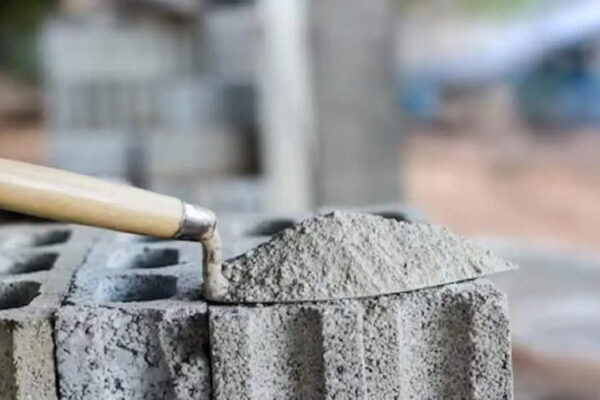 Frontier to buy B K Birla group co Kesoram