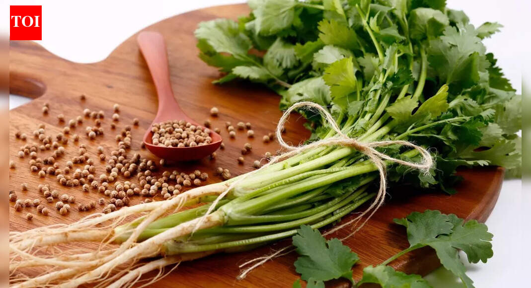 Coriander helps you lose weight: Know the benefits and how it works