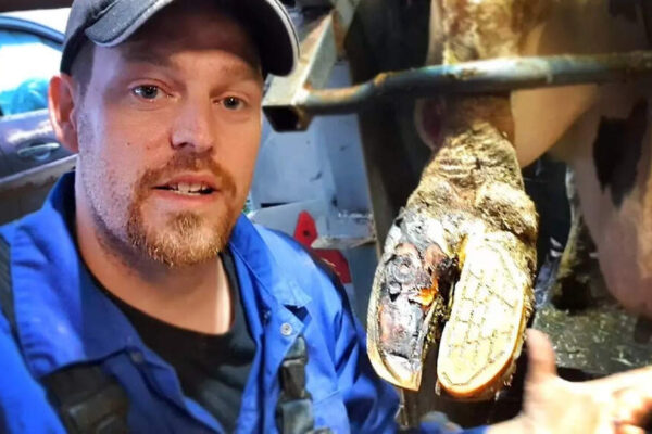 “This seriously hurt”: The painful ordeal that left YouTuber The Hoof GP shaken and probably off work for the rest of the year