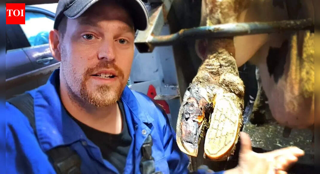 “This seriously hurt”: The painful ordeal that left YouTuber The Hoof GP shaken and probably off work for the rest of the year