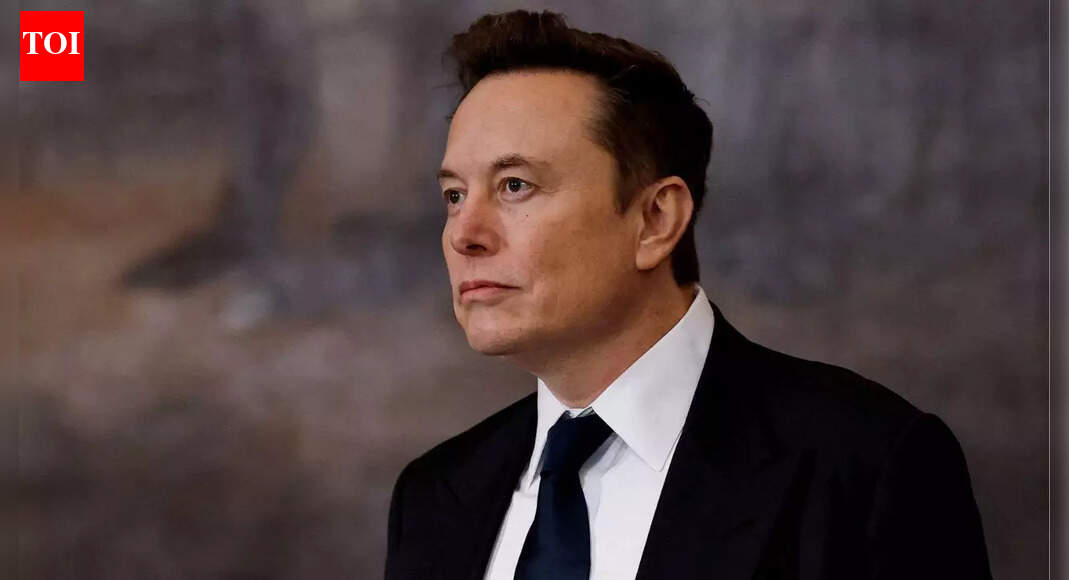 Elon Musk ex-wife Talulah Riley remembers Christmas with Tesla CEO: He got up in the middle of the night and disappeared only to …