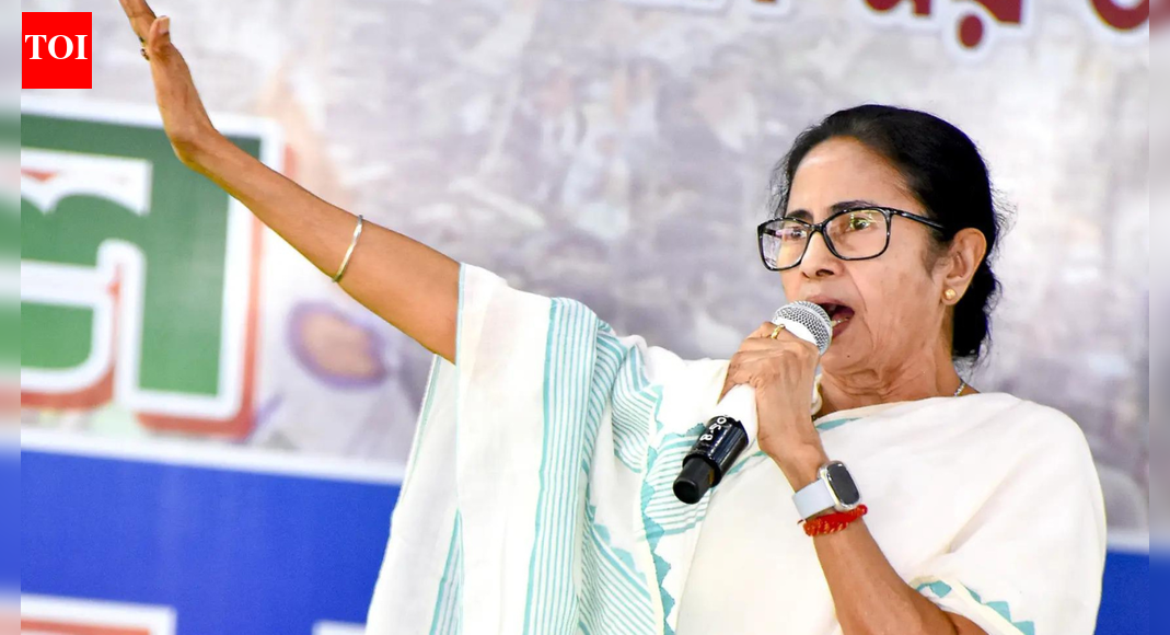 ‘This is a disaster’: Mamata Banerjee targets BJP over IndiGo fiasco; cites passenger agony