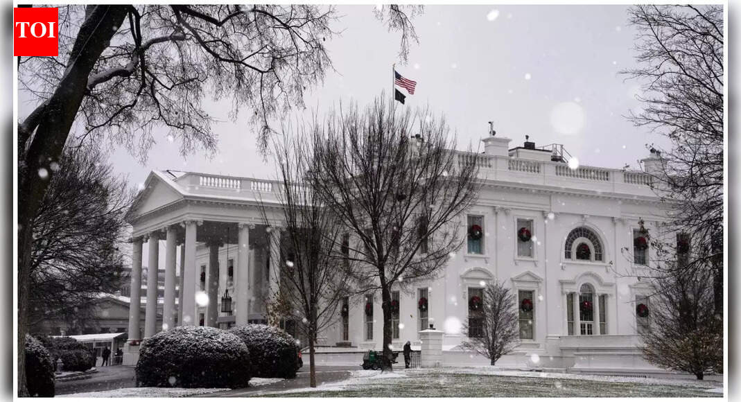 ‘Beautiful, looks magical’: White House shares snow-laden photos as winter storm blankets Washington