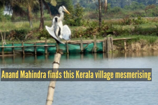 Anand Mahindra keeps his promise, visits the ‘most beautiful’ village in Kerala, and calls it’s ‘mesmerising’ |