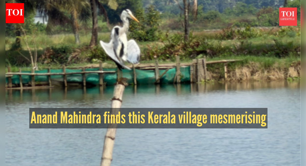 Anand Mahindra keeps his promise, visits the ‘most beautiful’ village in Kerala, and calls it’s ‘mesmerising’ |