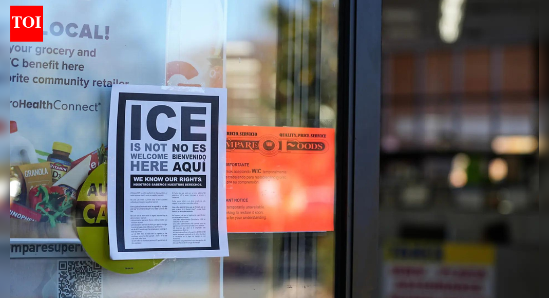 US Immigration lawyer says ICE isn’t targeting criminals, they are arresting ‘people who don’t look like me’