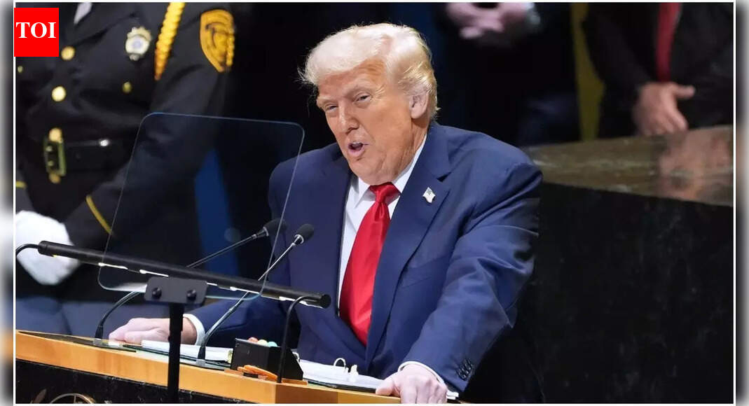‘India should not be dumping rice’: Trump signals fresh tariffs as US farmers decry cheap imports