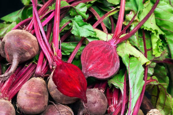 Can people with diabetes eat beetroot: Health benefits and possible risks explained for blood sugar levels