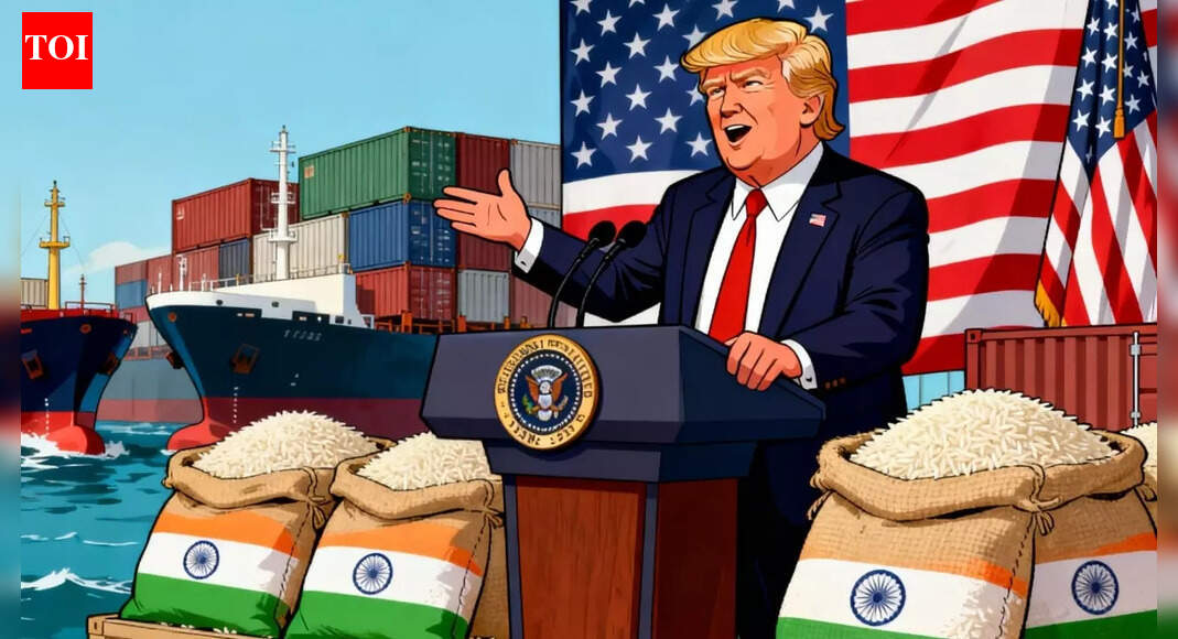 Trump threatens more tariffs on Indian rice! Why India has little to worry – and US consumers may bear the brunt