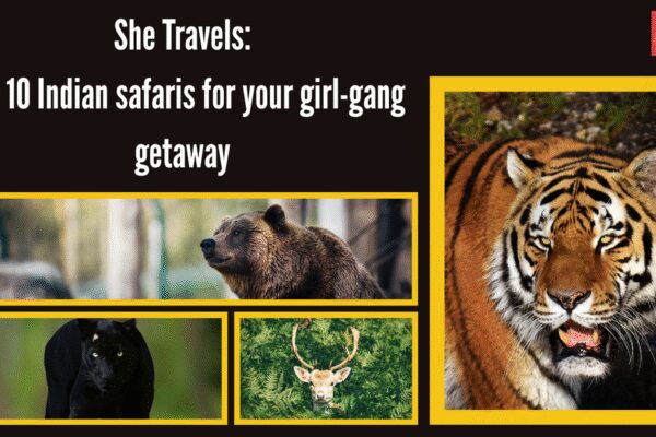 10 wildlife safaris every woman should experience with her girl gang (India edition)