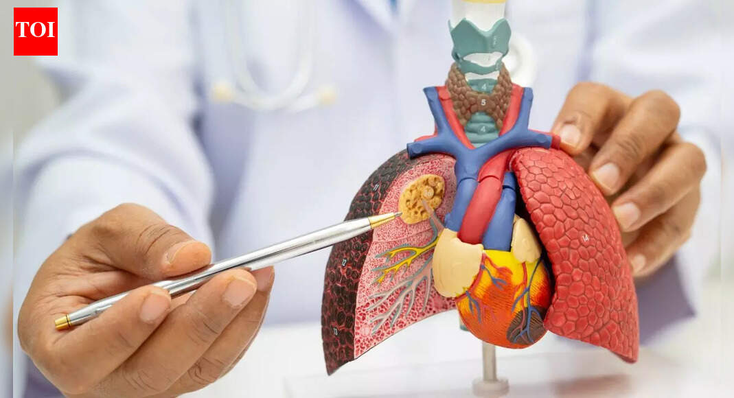 Pneumonia vs. Lung Cancer: How to spot the key differences, key symptoms, causes and key prevention tips |