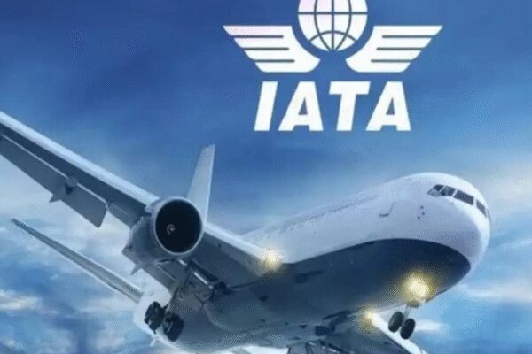 Shocking stat: Airlines to earn just .90 per passenger next year — less than what Apple makes on an iPhone cover, says IATA chief