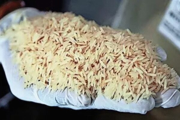 US President Trump’s threat of new rice tariffs is unlikely to significantly impact India, as exports to the US are a small fraction of global sales and already face high duties. Experts suggest this is a negotiation tactic amid ongoing trade deal talks, with India aiming to lift existing US tariffs. US President Trump’s threat of new rice tariffs is unlikely to significantly impact India, as exports to the US are a small fraction of global sales and already face high duties. Experts suggest this is a negotiation tactic amid ongoing trade deal talks, with India aiming to lift existing US tariffs. NEW DELHI: US President Donald Trump’s latest threat to impose fresh tariffs on rice is unlikely to have a severe impact on Indian exports.”India exported 2 million worth of rice to the US in FY2025, just 3% of its global rice exports, and already faces tariffs of about 53% in the US market; 86% of these shipments are premium basmati. New duties would scarcely dent Indian exporters, who have strong markets elsewhere, but would make rice costlier for American households,” said trade research body GTRI.A bulk of the 6 million tonne exported to the US may be headed to kitchens of Indian-origin Americans or those on visas. The only substitute for basmati rice can be from Pakistan but the quantities are much lower. Overall, a bulk of India’s rice exports consists of non-basmati rice.Trump’s latest threat comes amid a team from the US visiting India with talks on the much-delayed trade deal scheduled for Wednesday and Thursday. While the agenda for the latest discussions were not immediately known, the visit was a surprise as govt officials had earlier said most issues had been sorted out and last-mile talks were expected. News about the US delegation’s trip came ahead of Russian President Vladimir Putin’s visit to India.While Trump has taken unilateral measures on trade since returning to office, India’s rice exports are not seen as “dumping” as claimed by the US president, who is not seen as someone who always sticks to facts. Given volumes, neither are rice exports causing harm to domestic market, nor are they subsidised. As a result, it is seen as a pressure tactic amid talks for a bilateral deal.India and the US had launched negotiations for a trade deal in Feb and hoped to close talks by Sept-Oct. But with govt refusing to agree to Trump’s demand for reducing levies on food and GM crops, the US hit back with 25% reciprocal tariffs and another 25% secondary tariffs, citing India’s purchase of Russian oil and defence equipment. In the first phase, which govt is hoping can be clinched by the month-end, India expects the secondary tariffs to be lifted while also seeking concessions on reciprocal tariffs.Trump, in the same event, also threatened high tariff on agriculture imports from Canada and other countries.End of ArticleFollow Us On Social MediaVideos’Singapura Derived From Sanskrit’: Singapore’s Ex-Deputy PM Highlights India’s InfluenceInterpol Blue Notice Explained: How CBI Tracks Absconding Luthra Brothers In Goa Nightclub Fire CaseIndia At The Centre: How The New US Security Blueprint Plans To Deepen Strategic Ties With DelhiBJP’s Nishikant Dubey Counters Rahul Gandhi, Accuses Cong Of Weakening India’s Key InstitutionsWhy Trump Accuses India Of Dumping Rice And What A New Tariff Shock Could Mean For Trade Relations’Vote Chori Is The Biggest Anti-National Act’: Rahul Gandhi Slams BJP In Lok Sabha’China…Trump…Economy’: Kharge Hits Out At PM Modi, Amit Shah In Rajya Sabha‘BJP Insulting Gandhi, Patel, Tagore’: Kharge Slams Amit Shah Over Vande Mataram & Nehru Claims’No Link To Bengal’: Amit Shah’s Fiery Speech on Vande Mataram, Blames Nehru, Indira of SabotageBJP’S Sanjay Jaiswal Thanks Rahul Gandhi For ‘Vote Chori’ Charge, Claims It Boosted NDA’S Bihar Win123PhotostoriesChef Sanjeev Kapoor shares healthy and extraordinary banana recipesJanuary birth? 5 reasons your soul chose to be born in this monthBig ears, big survival: 5 animals with unbelievably huge ears’Bigg Boss Season 19′ winner Gaurav Khanna’s stylish looks from the houseFrom ‘FA9LA’ to ‘Kaho Na Kaho’: Arabic music that shaped Bollywood’s biggest hits10 foods that make heart stronger naturally and how to eat themLesser-known facts about the ‘Tragedy King’ Dilip Kumar5 touching quotes on love and relationships by Colleen Hoover10 things millennials grew up with that Gen Z can’t relate to8 under 10-minute protein-rich cheelas for office tiffin123Hot PicksCandace OwensCharlie KirkWorld NewsGold rate todaySilver rate todayPublic Holidays NovemberBank Holidays NovemberTop TrendingMarvin Harrison JrTee Higgins InjuryTrey Benson InjuryMariasharapova and Alexander Net worthAryna Sabalenka Net WorthCeeDee Lamb InjuryRafael Nadal and Mery Net WorthCandace OwensSimone BilesAnthony Richardson Injury