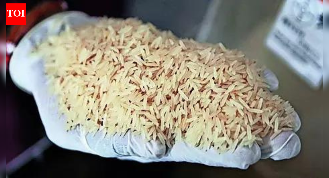 US President Trump’s threat of new rice tariffs is unlikely to significantly impact India, as exports to the US are a small fraction of global sales and already face high duties. Experts suggest this is a negotiation tactic amid ongoing trade deal talks, with India aiming to lift existing US tariffs. US President Trump’s threat of new rice tariffs is unlikely to significantly impact India, as exports to the US are a small fraction of global sales and already face high duties. Experts suggest this is a negotiation tactic amid ongoing trade deal talks, with India aiming to lift existing US tariffs. NEW DELHI: US President Donald Trump’s latest threat to impose fresh tariffs on rice is unlikely to have a severe impact on Indian exports.”India exported 2 million worth of rice to the US in FY2025, just 3% of its global rice exports, and already faces tariffs of about 53% in the US market; 86% of these shipments are premium basmati. New duties would scarcely dent Indian exporters, who have strong markets elsewhere, but would make rice costlier for American households,” said trade research body GTRI.A bulk of the 6 million tonne exported to the US may be headed to kitchens of Indian-origin Americans or those on visas. The only substitute for basmati rice can be from Pakistan but the quantities are much lower. Overall, a bulk of India’s rice exports consists of non-basmati rice.Trump’s latest threat comes amid a team from the US visiting India with talks on the much-delayed trade deal scheduled for Wednesday and Thursday. While the agenda for the latest discussions were not immediately known, the visit was a surprise as govt officials had earlier said most issues had been sorted out and last-mile talks were expected. News about the US delegation’s trip came ahead of Russian President Vladimir Putin’s visit to India.While Trump has taken unilateral measures on trade since returning to office, India’s rice exports are not seen as “dumping” as claimed by the US president, who is not seen as someone who always sticks to facts. Given volumes, neither are rice exports causing harm to domestic market, nor are they subsidised. As a result, it is seen as a pressure tactic amid talks for a bilateral deal.India and the US had launched negotiations for a trade deal in Feb and hoped to close talks by Sept-Oct. But with govt refusing to agree to Trump’s demand for reducing levies on food and GM crops, the US hit back with 25% reciprocal tariffs and another 25% secondary tariffs, citing India’s purchase of Russian oil and defence equipment. In the first phase, which govt is hoping can be clinched by the month-end, India expects the secondary tariffs to be lifted while also seeking concessions on reciprocal tariffs.Trump, in the same event, also threatened high tariff on agriculture imports from Canada and other countries.End of ArticleFollow Us On Social MediaVideos’Singapura Derived From Sanskrit’: Singapore’s Ex-Deputy PM Highlights India’s InfluenceInterpol Blue Notice Explained: How CBI Tracks Absconding Luthra Brothers In Goa Nightclub Fire CaseIndia At The Centre: How The New US Security Blueprint Plans To Deepen Strategic Ties With DelhiBJP’s Nishikant Dubey Counters Rahul Gandhi, Accuses Cong Of Weakening India’s Key InstitutionsWhy Trump Accuses India Of Dumping Rice And What A New Tariff Shock Could Mean For Trade Relations’Vote Chori Is The Biggest Anti-National Act’: Rahul Gandhi Slams BJP In Lok Sabha’China…Trump…Economy’: Kharge Hits Out At PM Modi, Amit Shah In Rajya Sabha‘BJP Insulting Gandhi, Patel, Tagore’: Kharge Slams Amit Shah Over Vande Mataram & Nehru Claims’No Link To Bengal’: Amit Shah’s Fiery Speech on Vande Mataram, Blames Nehru, Indira of SabotageBJP’S Sanjay Jaiswal Thanks Rahul Gandhi For ‘Vote Chori’ Charge, Claims It Boosted NDA’S Bihar Win123PhotostoriesChef Sanjeev Kapoor shares healthy and extraordinary banana recipesJanuary birth? 5 reasons your soul chose to be born in this monthBig ears, big survival: 5 animals with unbelievably huge ears’Bigg Boss Season 19′ winner Gaurav Khanna’s stylish looks from the houseFrom ‘FA9LA’ to ‘Kaho Na Kaho’: Arabic music that shaped Bollywood’s biggest hits10 foods that make heart stronger naturally and how to eat themLesser-known facts about the ‘Tragedy King’ Dilip Kumar5 touching quotes on love and relationships by Colleen Hoover10 things millennials grew up with that Gen Z can’t relate to8 under 10-minute protein-rich cheelas for office tiffin123Hot PicksCandace OwensCharlie KirkWorld NewsGold rate todaySilver rate todayPublic Holidays NovemberBank Holidays NovemberTop TrendingMarvin Harrison JrTee Higgins InjuryTrey Benson InjuryMariasharapova and Alexander Net worthAryna Sabalenka Net WorthCeeDee Lamb InjuryRafael Nadal and Mery Net WorthCandace OwensSimone BilesAnthony Richardson Injury