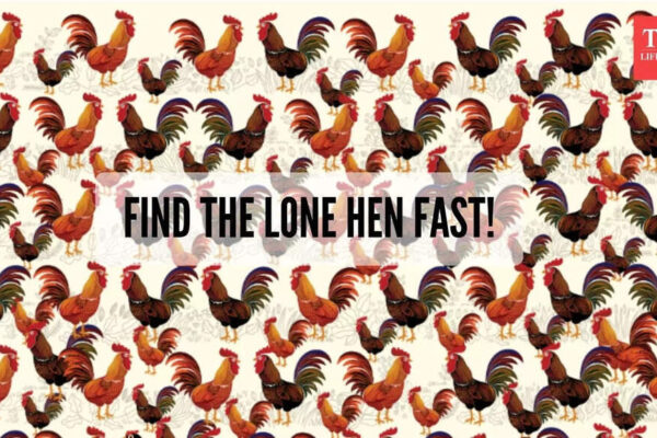 Challenge: Only 1 in 100 can spot the chicken hiding among these roosters in less than 10 seconds |