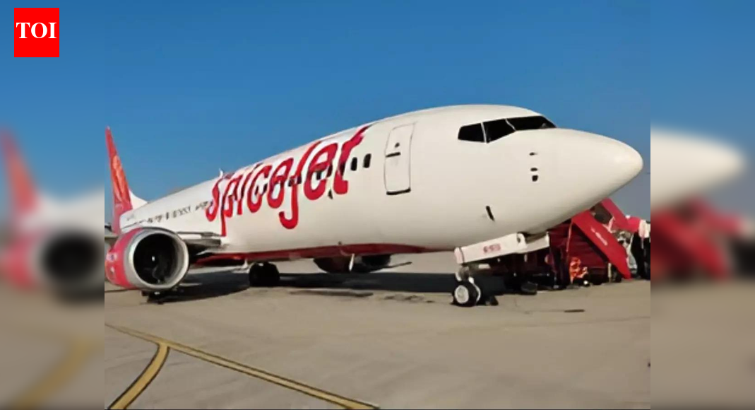 SpiceJet plans expansion with 100 more flights daily amidst IndiGo fiasco; airline aims to ‘improve overall network resilience’ – stock jumps 5%