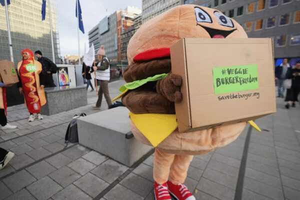 Veggie ‘burgers’ under fire: Why is Europe planning to ban names of plant-based foods? Proposal lists 29 terms
