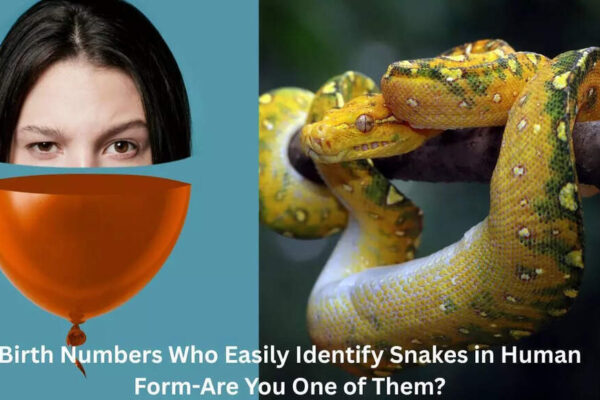 Birth Numbers Who Easily Identify Snakes in Human Form-Are You One of Them?
