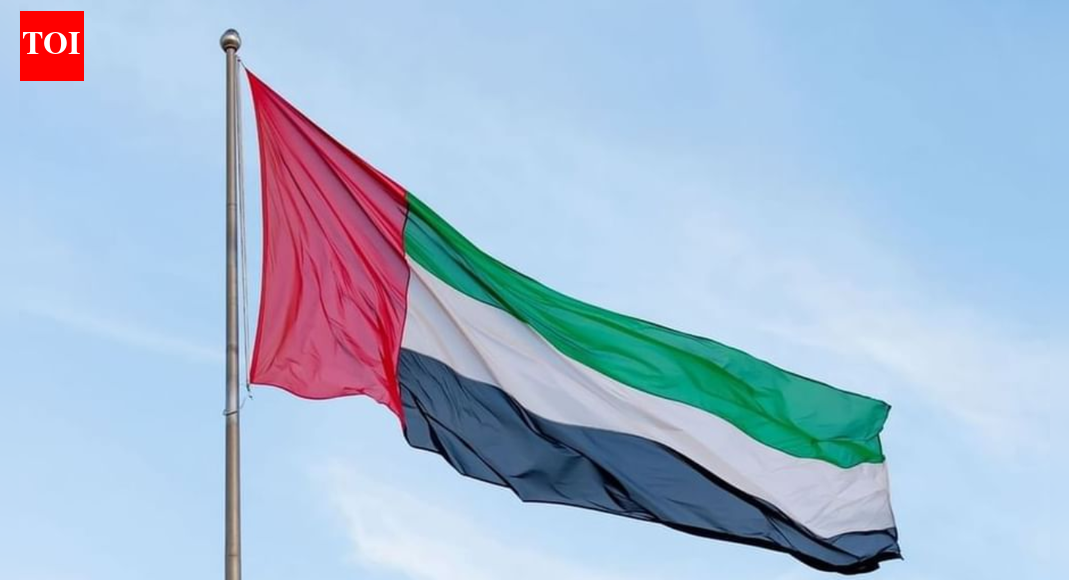 UAE pledges 0 million in major early commitment to UN’s 2026 humanitarian appeal