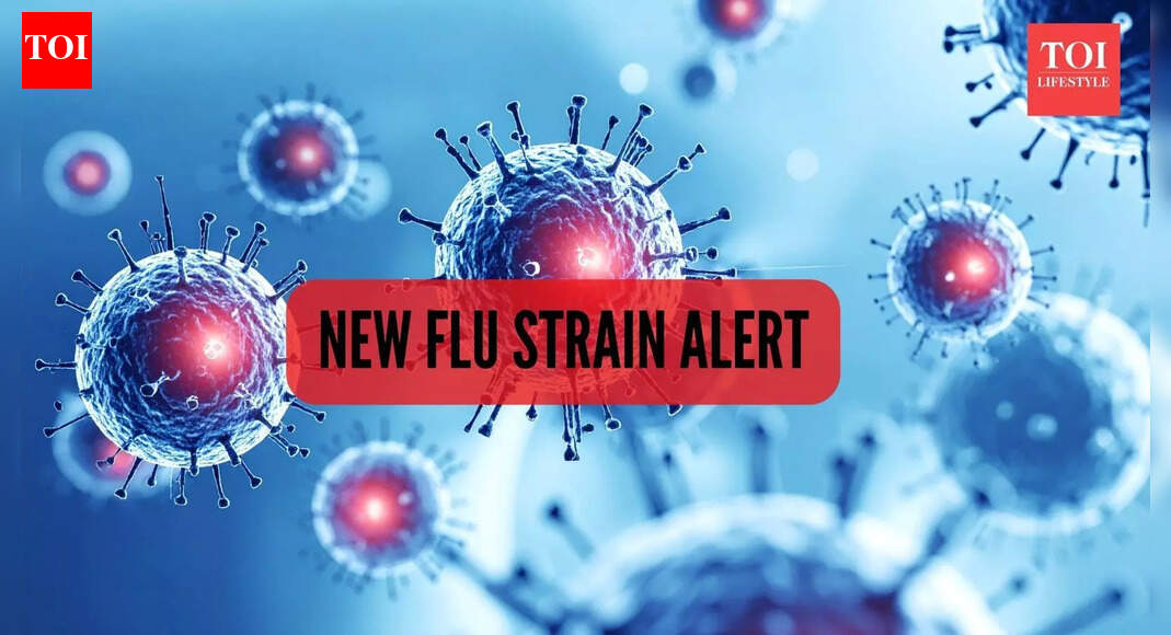 New mutated flu strain spreads in the US: What everyone needs to know this season